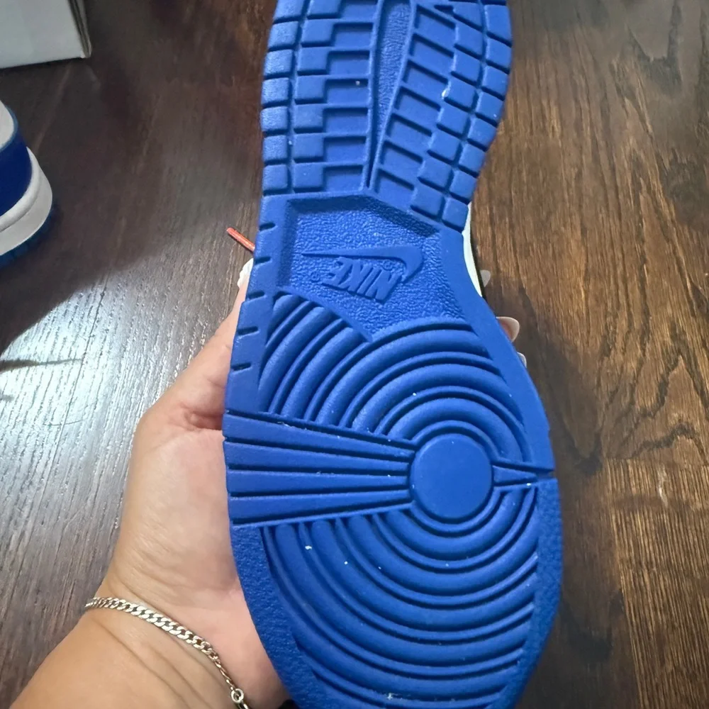 Nike Royal Blue and Crimson Sneakers